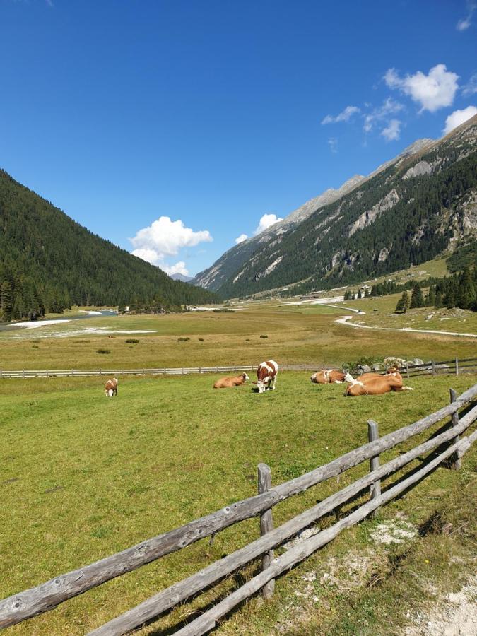 Haus Renswouw Hotel Hollersbach im Pinzgau Bagian luar foto